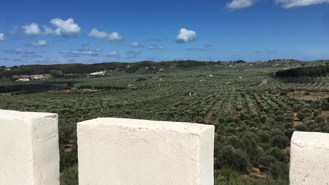Tenuta Valle Della Corte Vieste Luaran gambar